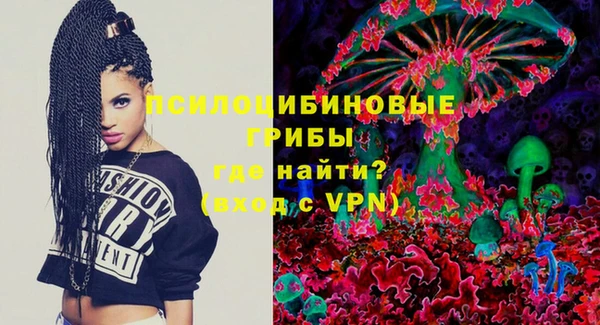 героин Ельня