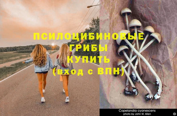 ПСИЛОЦИБИНОВЫЕ ГРИБЫ Елизово
