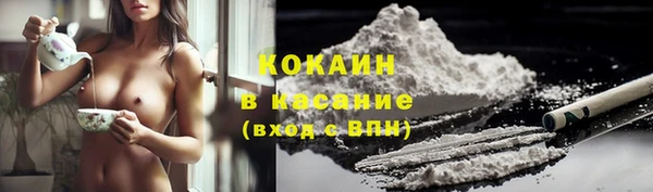 ПСИЛОЦИБИНОВЫЕ ГРИБЫ Елизово