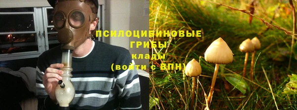 а пвп мука Елабуга